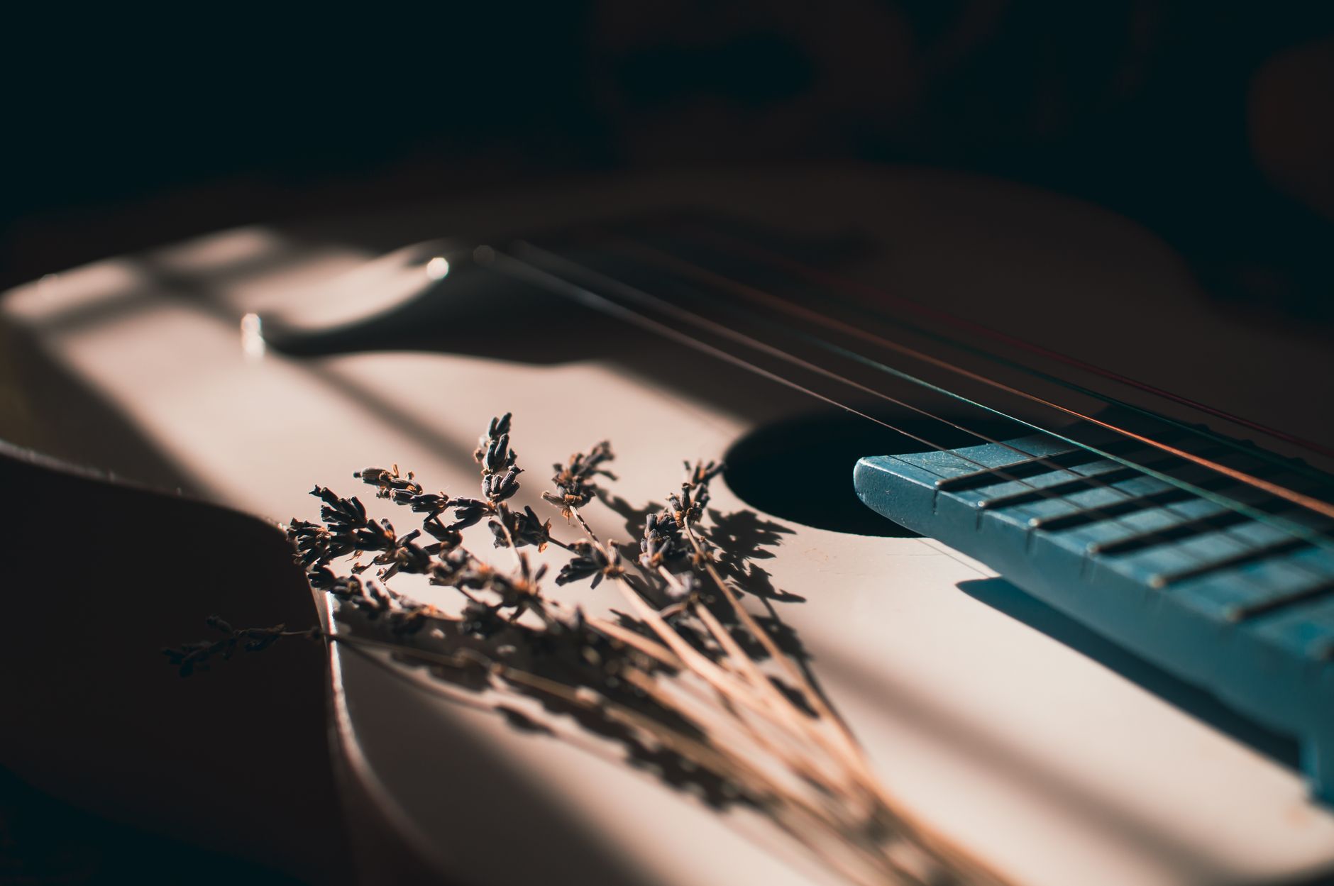 An acoustic guitar in warm light with small dried flower stems resting across the body