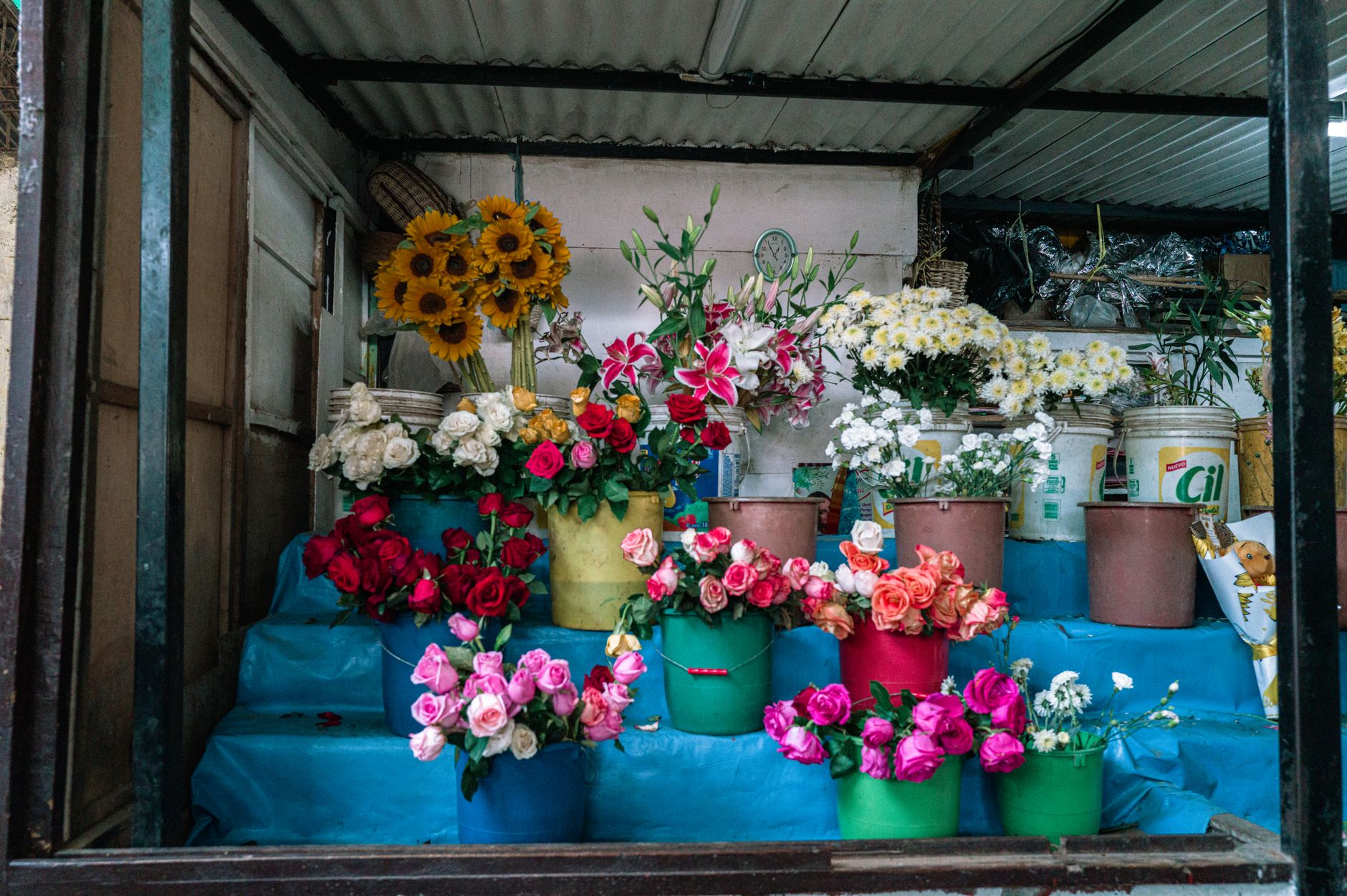 A market stall with buckets of roses, sunflowers, and mixed bouquets stacked on blue-draped steps