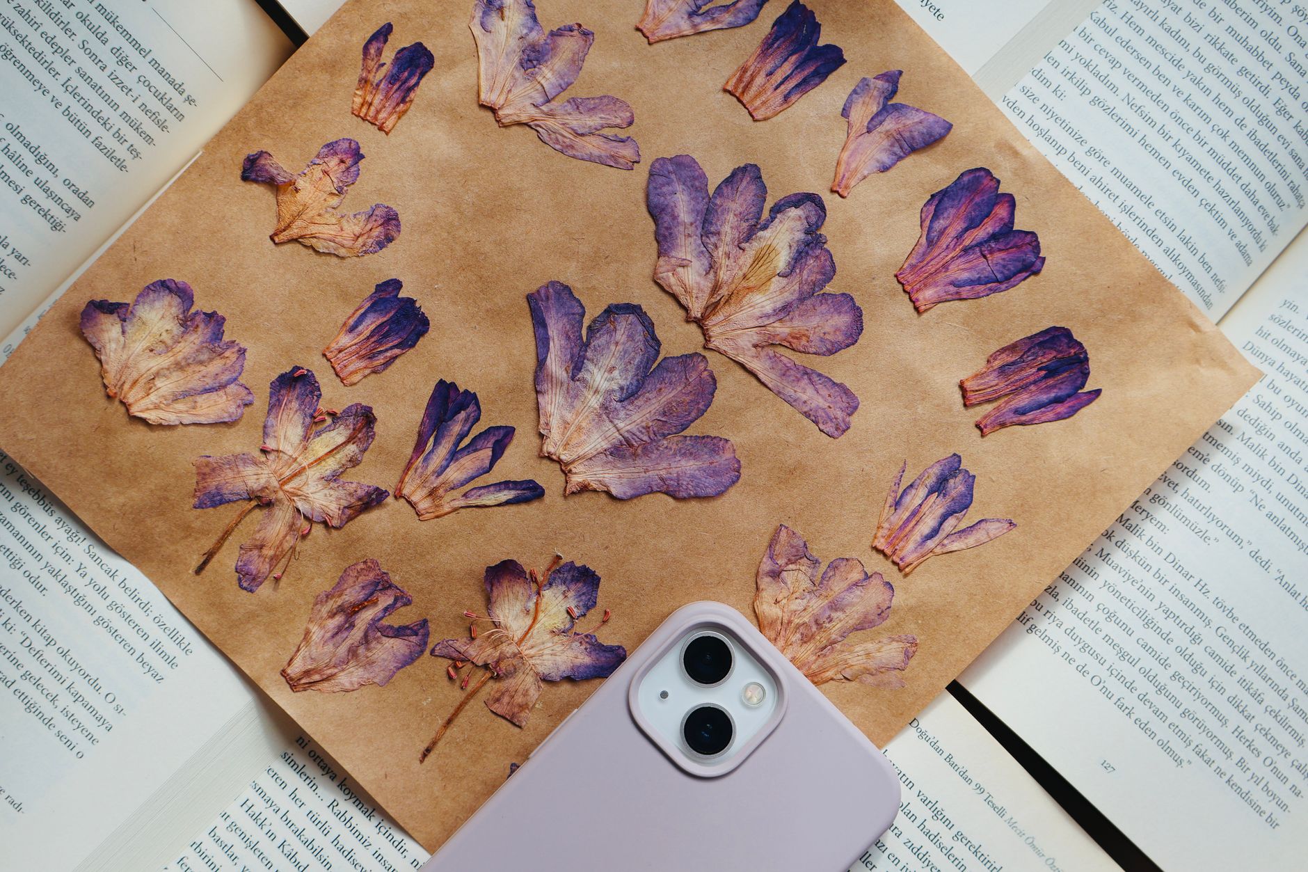 Pressed purple flower petals arranged on brown paper over open books with a phone beside them