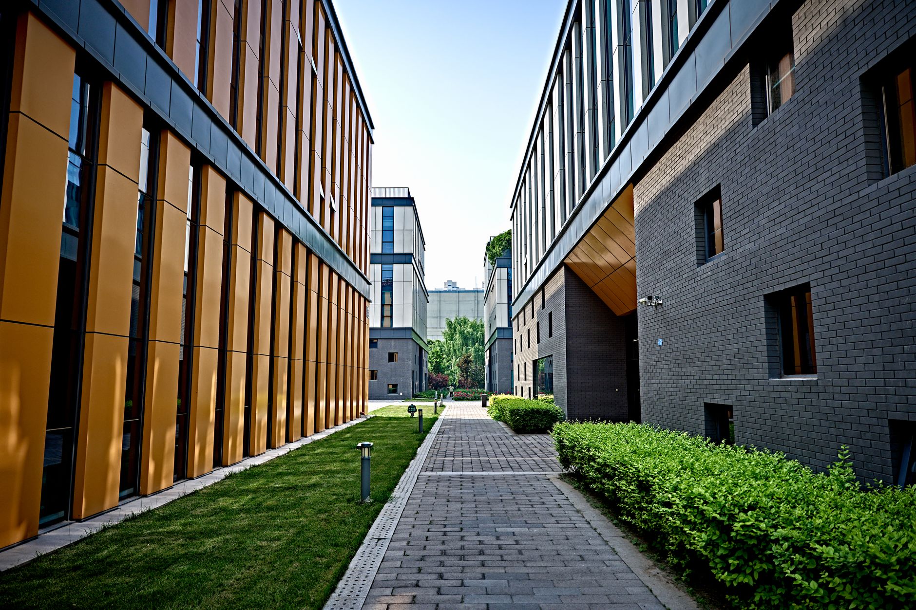 A paved walkway between modern office buildings with a trimmed green hedge and lawn