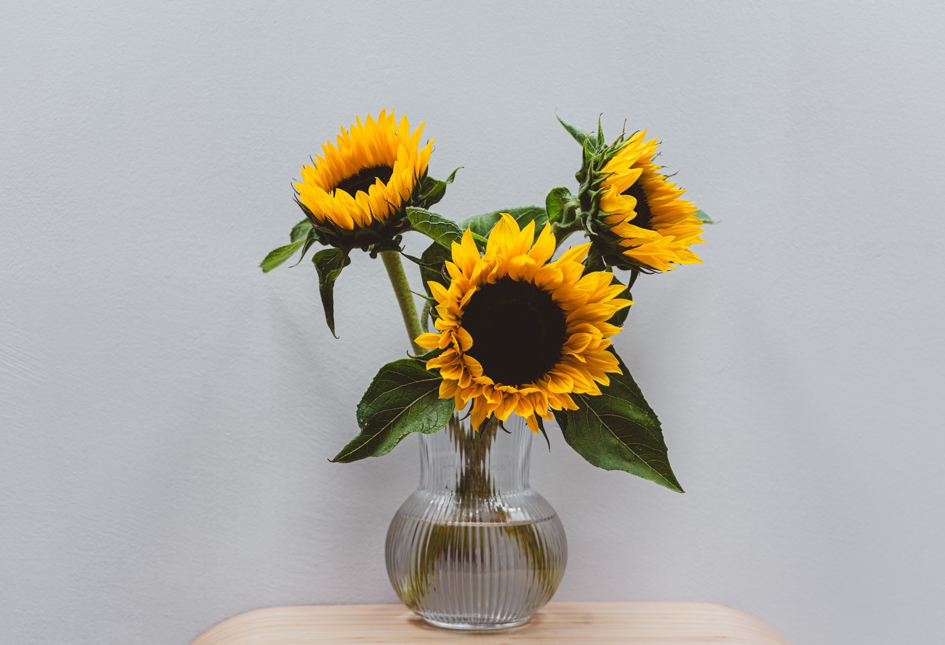 Three sunflowers in a ribbed glass vase on a wooden table against a plain gray wall
