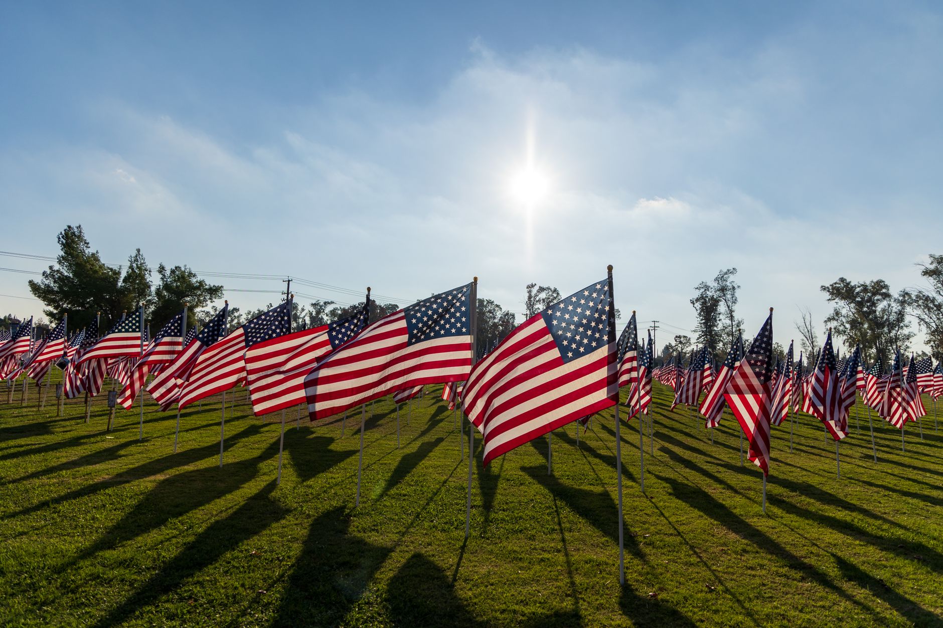 Rows of American flags on tall poles casting long shadows across a green lawn under a blue sky